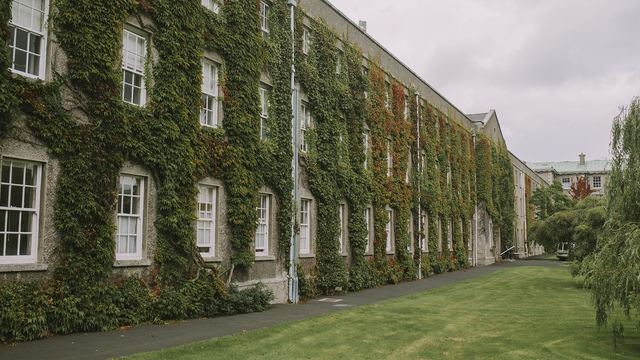 Bewachsene Fassade eines langen Gebäudes