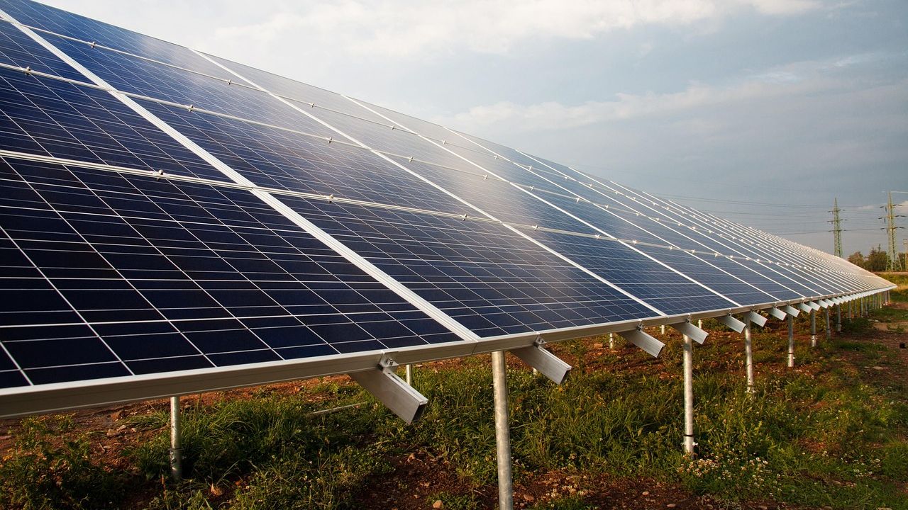 Solarmodule auf einer Freifläche