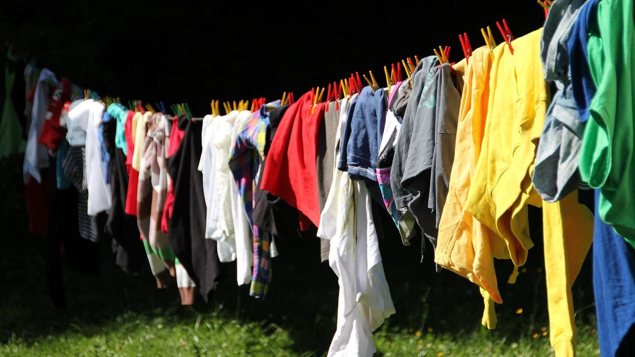 Bunte Wäsche auf einer Leine im Garten